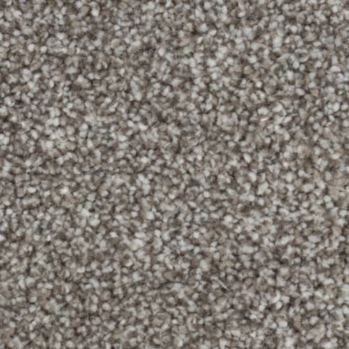 Tryesse Pro - Calm Sanctuary in Putty Grey Carpet