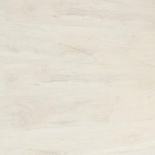 Rigid Stone Core Vinyl Plank in White Birch Luxury Vinyl