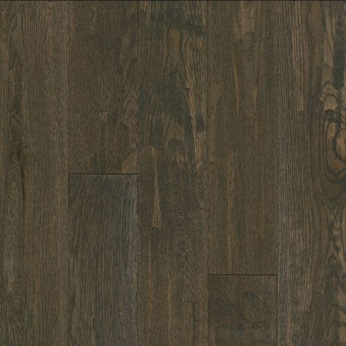 Signature Scrape in Coastal Plain 5 Hardwood