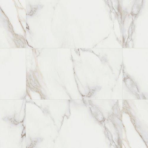 Signature - Iconic in Calacatta Polished - 24x48 Tile