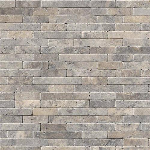 Silver Travertine in Silver Travertine - 8x18 Tumbled Veneer Natural Stone