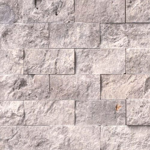 Silver Travertine in Gray-Light 2x4 Natural Stone