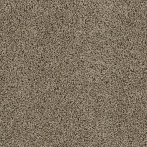 SP250 in Honesy Beige Carpet