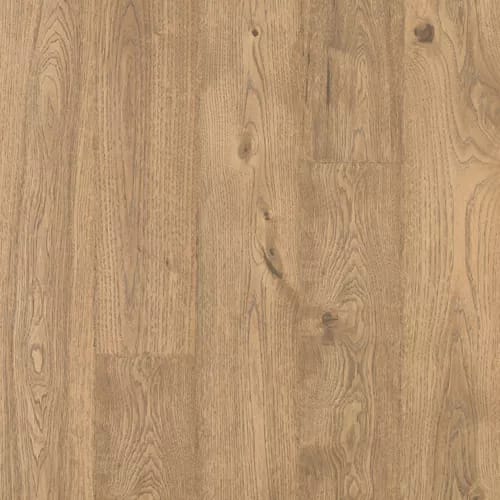 Elderwood in Sandbank Oak Laminate