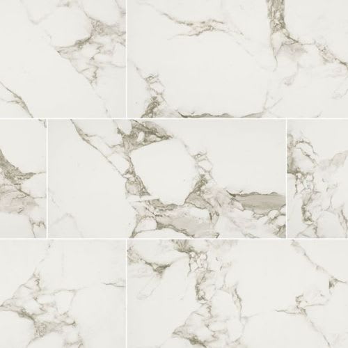 Pietra in Statuario - 12x24 Matte Tile