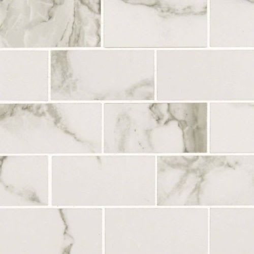 Pietra in Statuario - 2x4 Tile