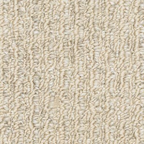 Detailed Comfort in Tradition Carpet