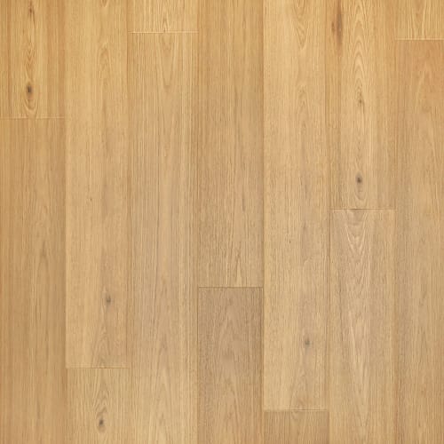 Witlock in Tundra Hickory Laminate