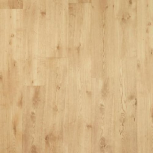 NatureTek Plus - Colossia in Siltstone Oak Laminate