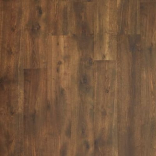 NatureTek Plus - Colossia in Rain Forest Oak Laminate