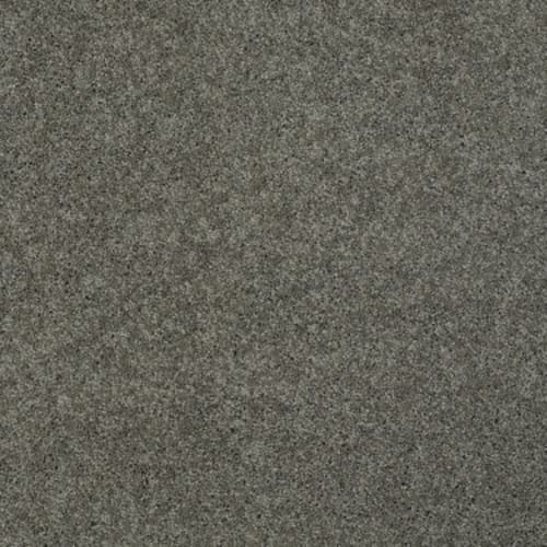 My Choice I in Grey Flannel Carpet