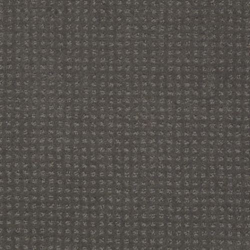 My Choice Pattern in Graphite Carpet