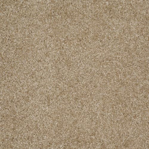 Malibu Beach in Reed Carpet